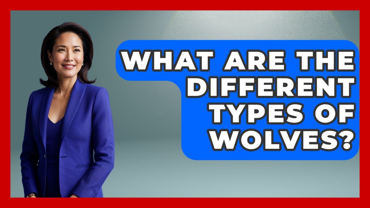 What Are The Different Types Of Wolves? - Exploring Campgrounds
