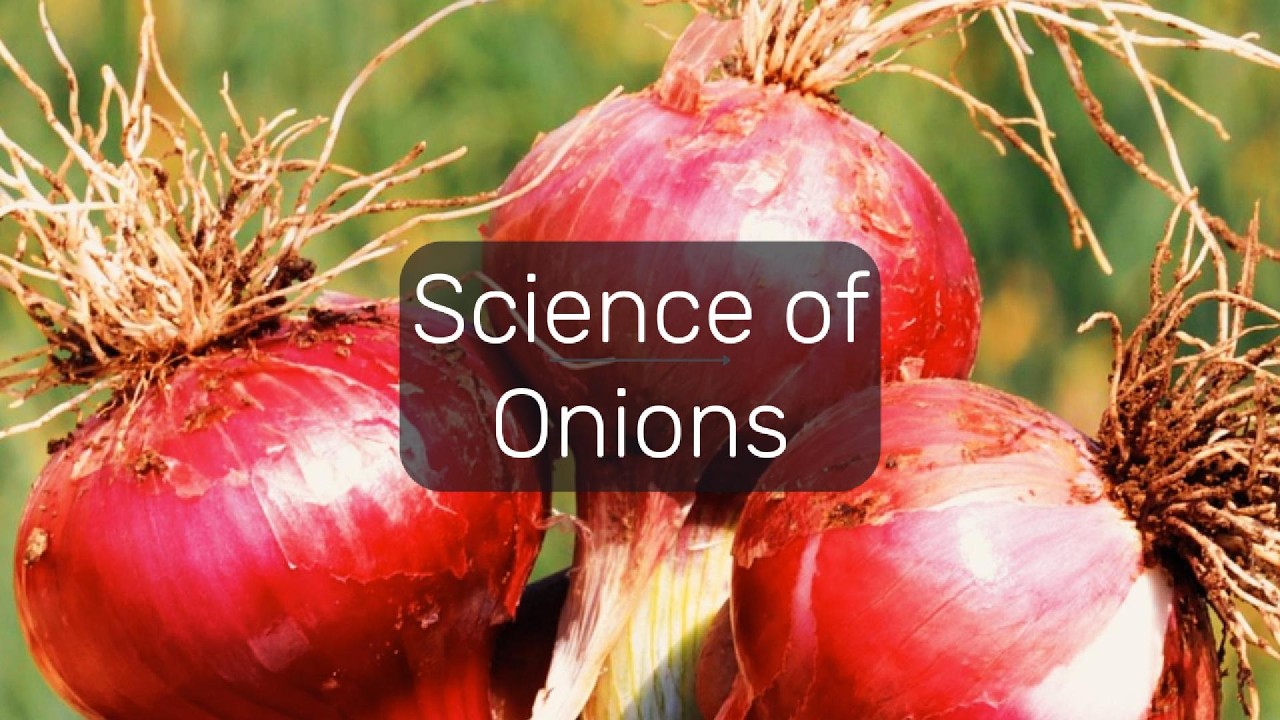How to Grow Onions: With Science and Research