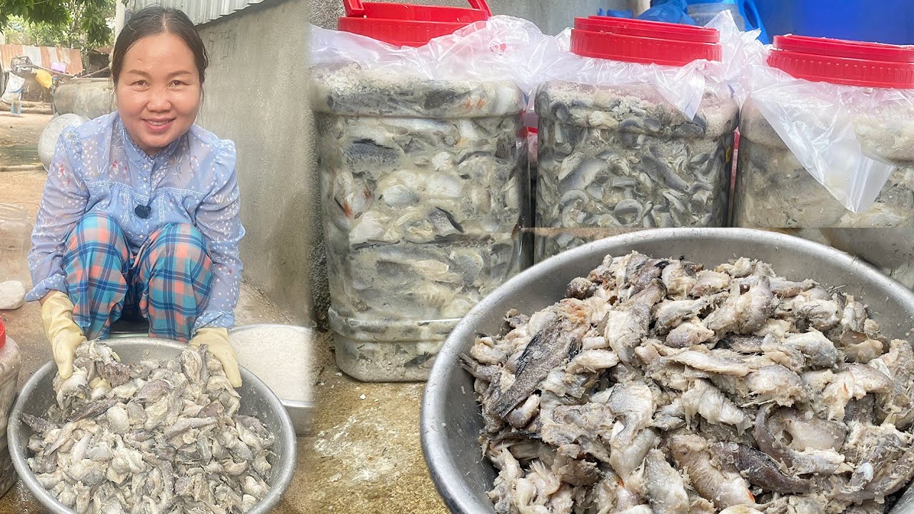 Khmer food: How to make Prahok – Clean, Fresh & Fully Homemade | Step-by-Step Fermented Fish Process