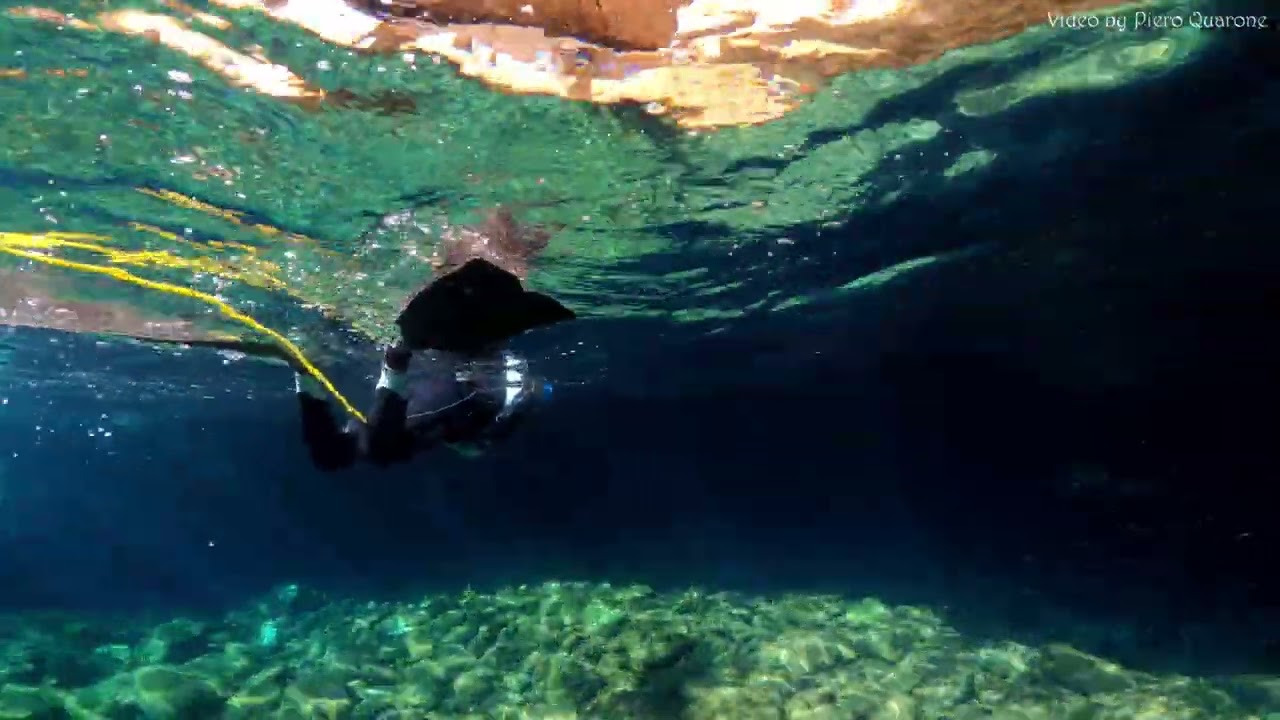 Snorkeling all' Isola Gallinara 4k