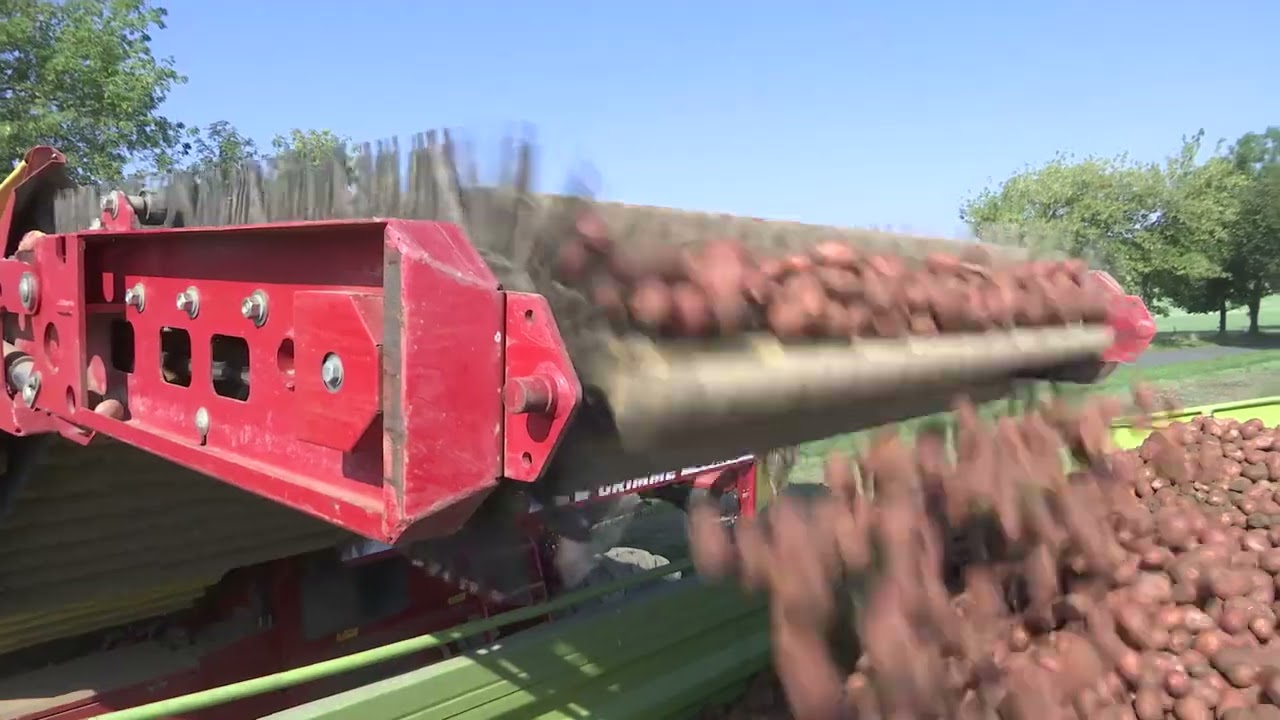 Kartoffelverkauf 2023 beginnt in Großwaltersdorf