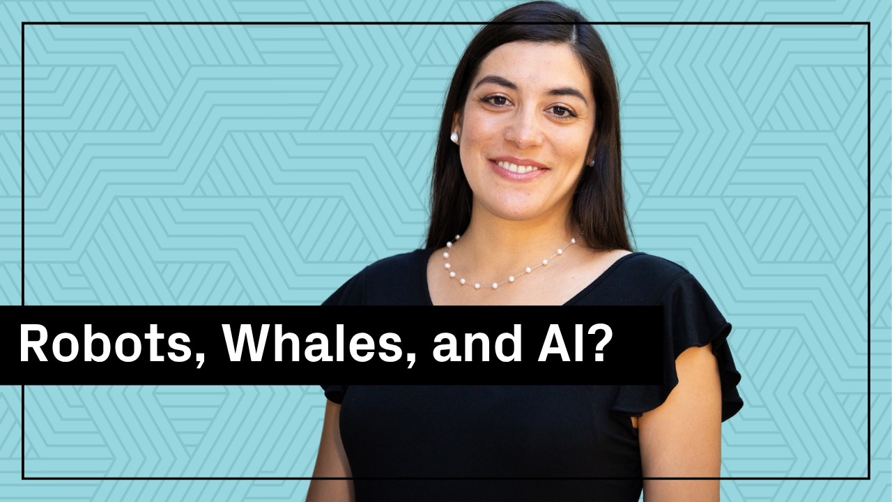 Can autonomous robots help us understand whales?