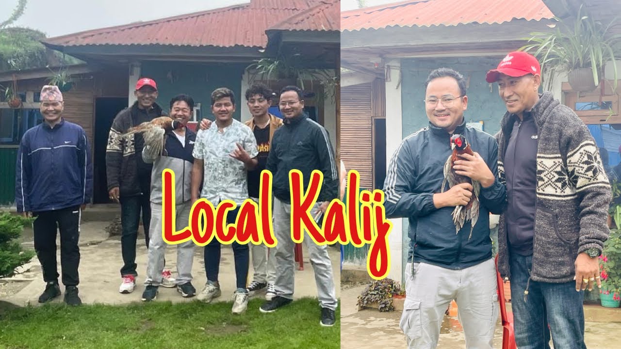 Special Dai Haru Sanga | Kalij Katej | Padam Vlogs