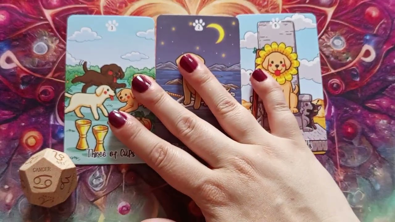 ❤️🌟2026 J&uacute;nius 16 Napi Taroszk&oacute;p❤️🌟