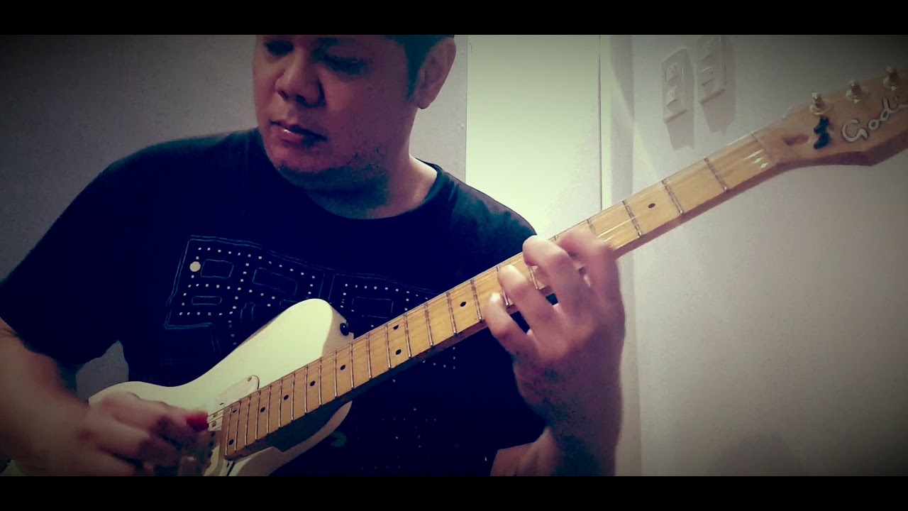 Godin SD 24