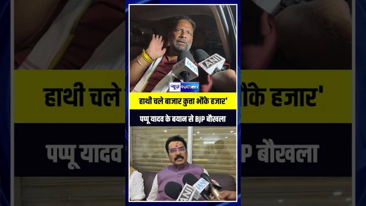 'हाथी चले बाजार कुत्ता भौंके हजार' पप्पू यादव के बयान से BJP बौखलाई  |Bihar News | News4Nation