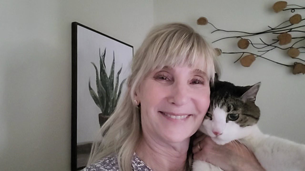 Part 2 - How To Travel With a Cat Cross Country