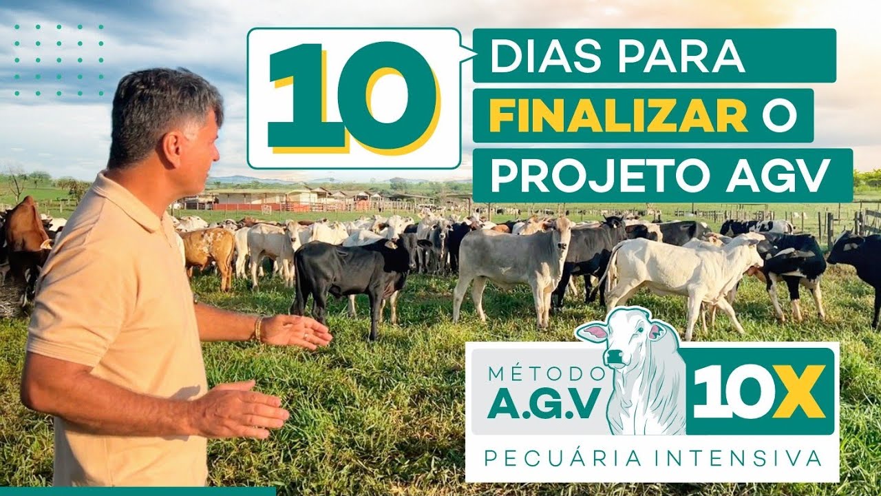 FINALIZANDO O PROJETO AGV 10X