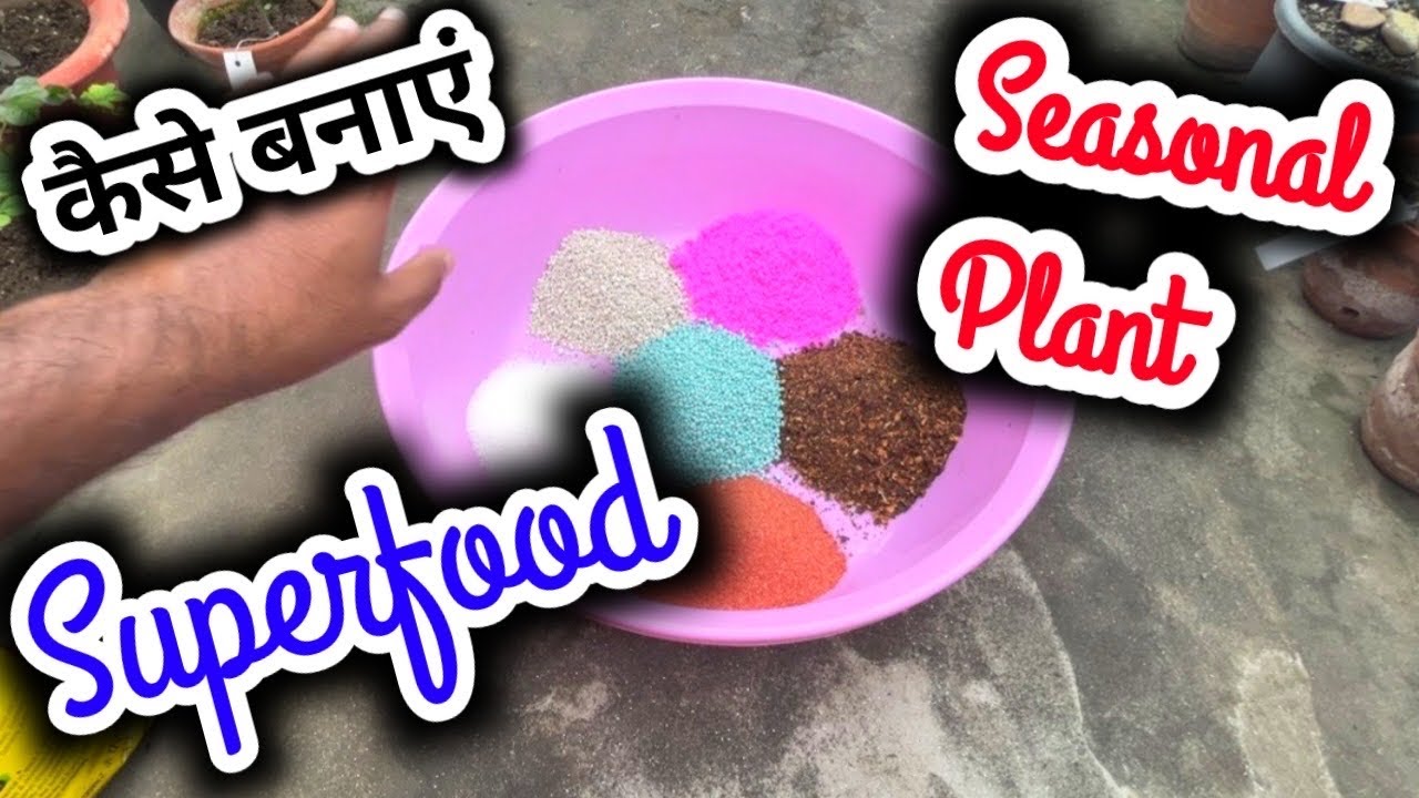 सीज़नल प्लांट्स का सुपरफूड कैसे बनाये/Superfood for Seasonal plants