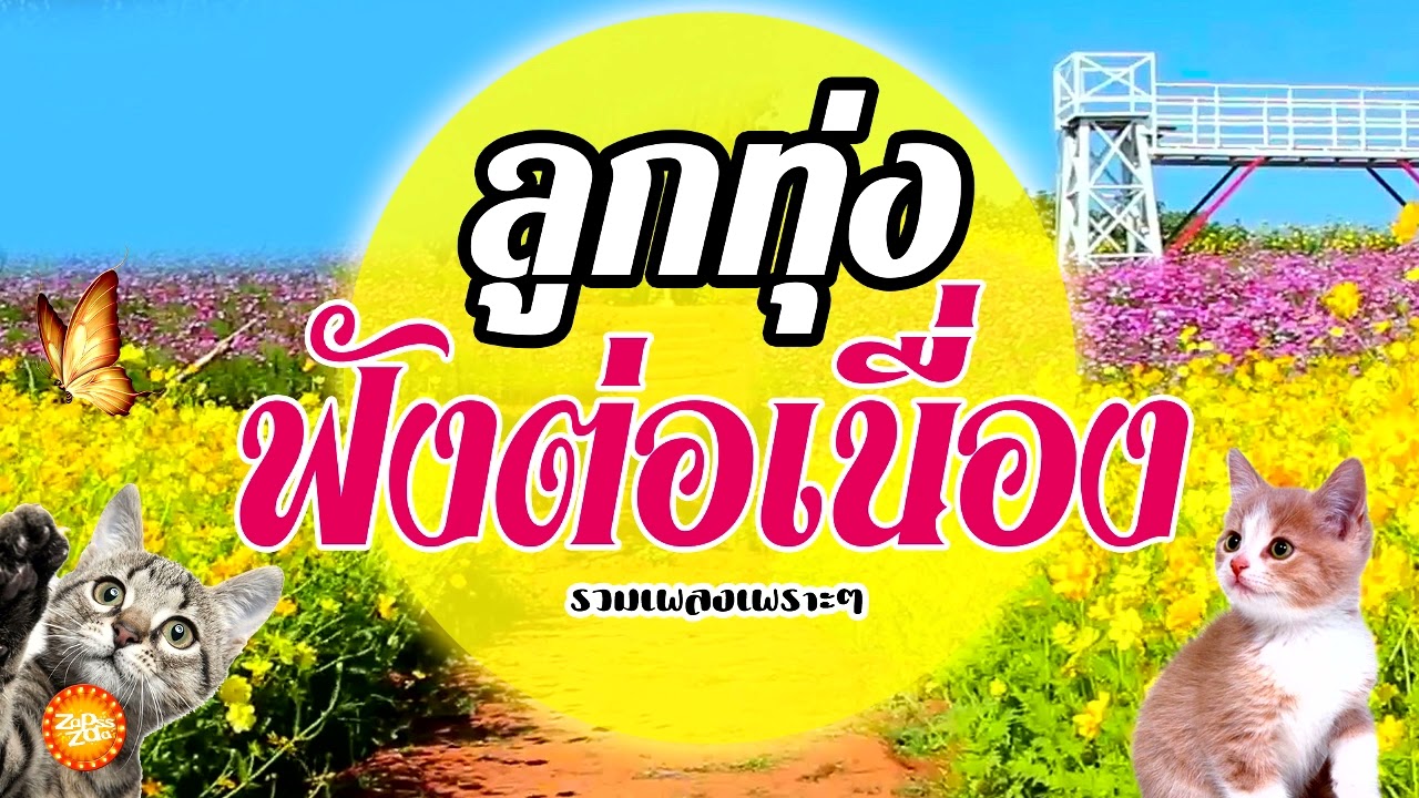 เพลงลูกทุ่งเพราะๆ #ฟังต่อเนื่อง (เสียงชัดเต็ม)