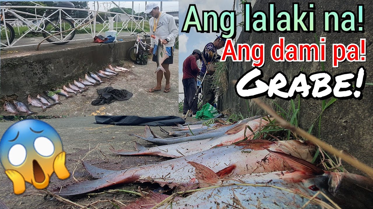 MATINDING PAMIMINGWIT TO! ANDAMING BIYAYA GALING SA ILOG