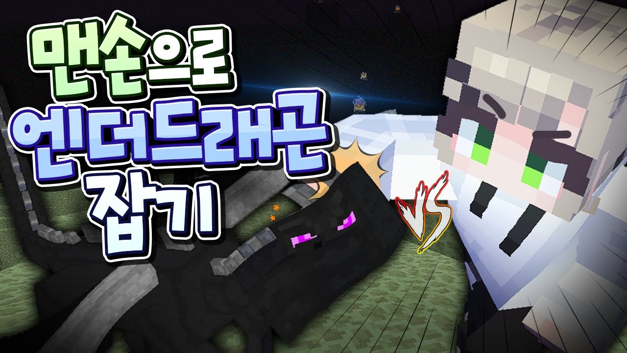 원펀치로 엔더드래곤 혼내주기