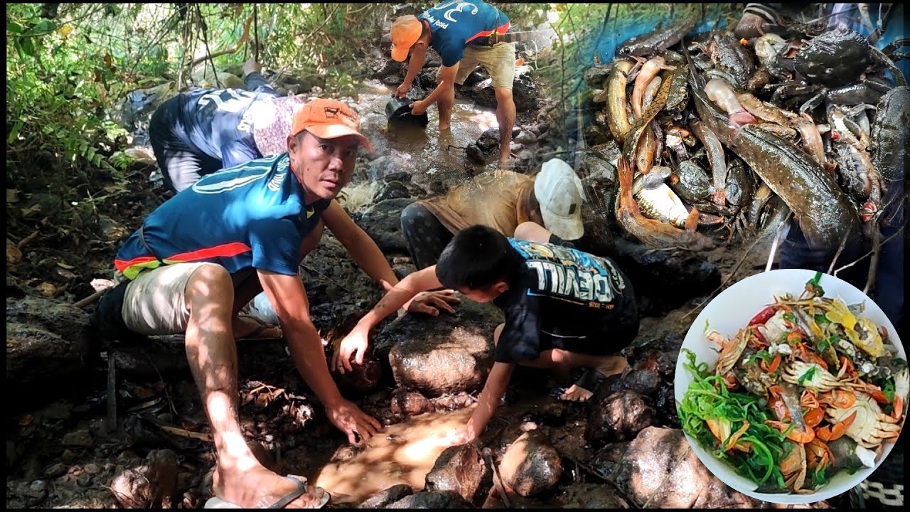 peb mus cais ntses leev thiab raub ris pem dej toj siab noj.20/1/2026