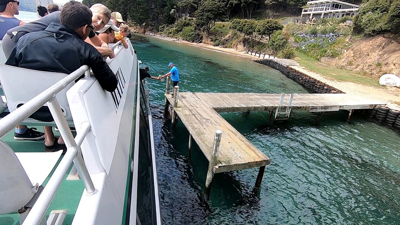 Mail Boat Cruise In Queen Charlotte Sound 5th January 2021| Beachcomber Cruises Picton | New Zealand