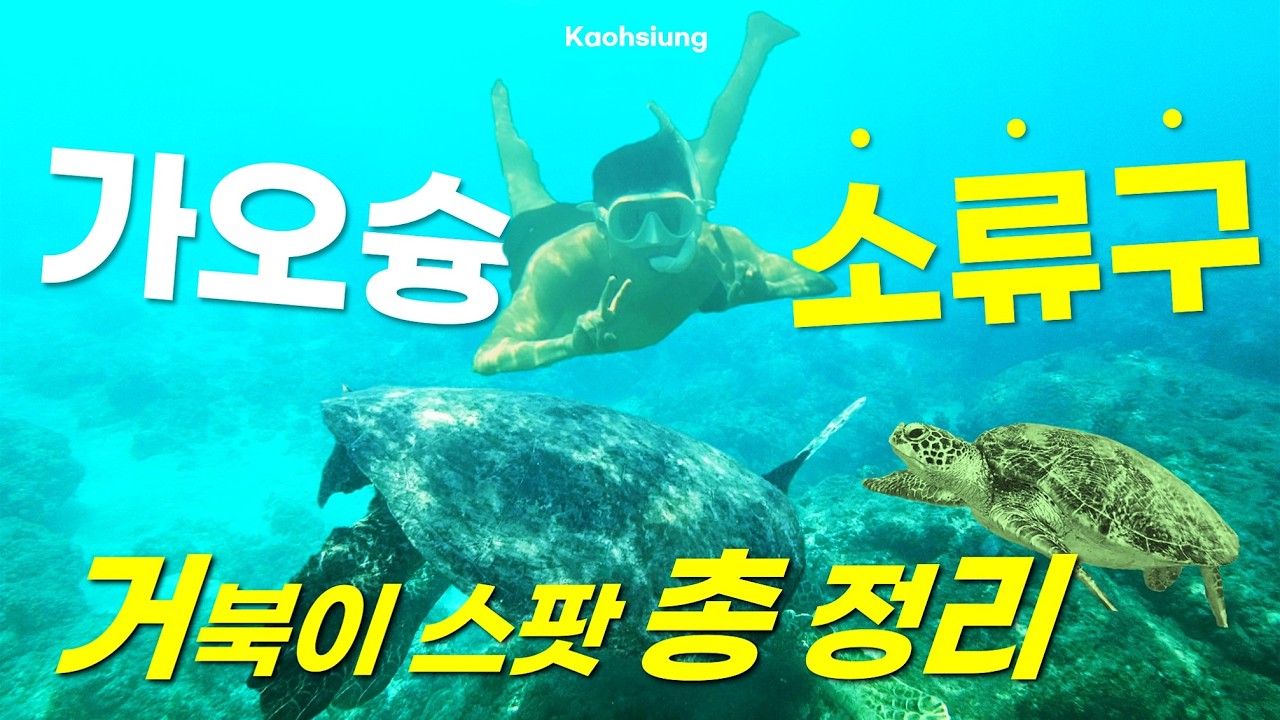 가오슝 소류구 거북이섬, 거북이 많은 해변 핫플 스팟 추천, 대중부잠 없이 소류구 셀프 스노쿨링 성공 후기, 류추 바다 비교 정리