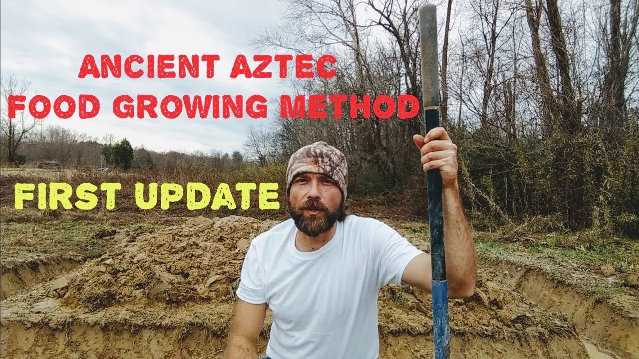 Chinampa, Ancient Aztec Food Growing Method(my new wetland experiment)
