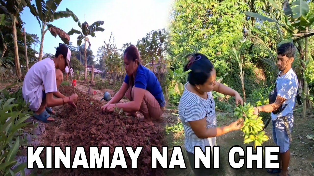 Buhay Probinsya! Punong-puno Na Ng Pananim Ang Aming Kapaligiran! 
