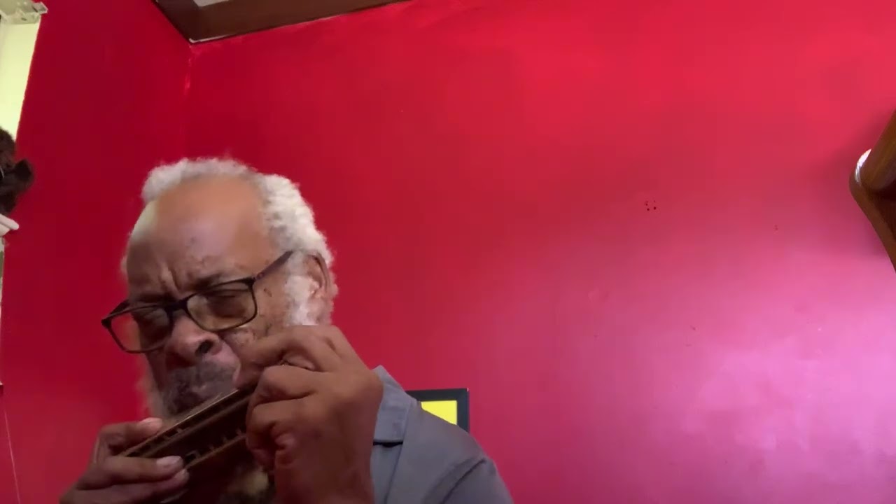 Big Bones BASS HARMONICA flaws and awes, evolution of the double bass harmonica.