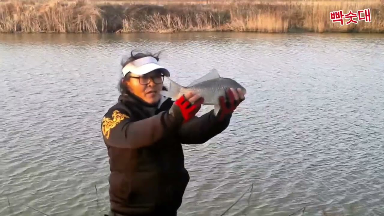 폭발적인 입질 나오면 허리급 그리고 4짜 손맛 #수로낚시 #마그마 신형 자립발판#대물붕어#해남권