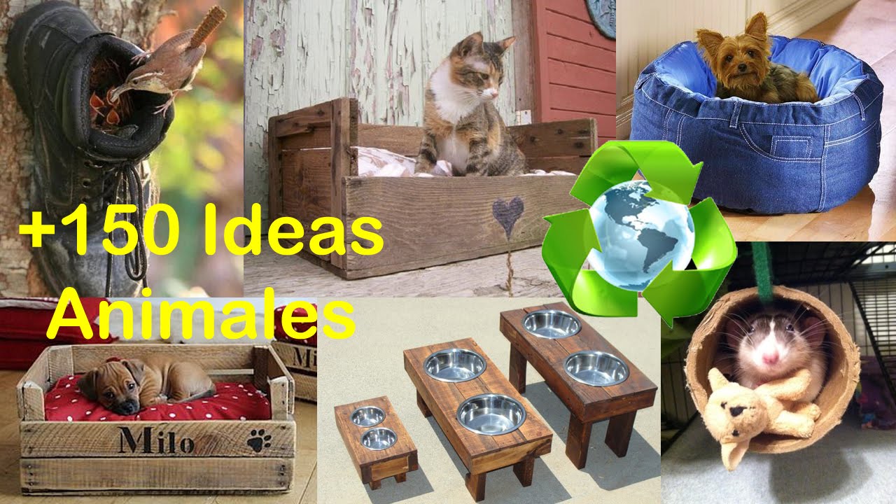 Ideas para Animales con Reciclaje / Ideas Recycling for Animals.