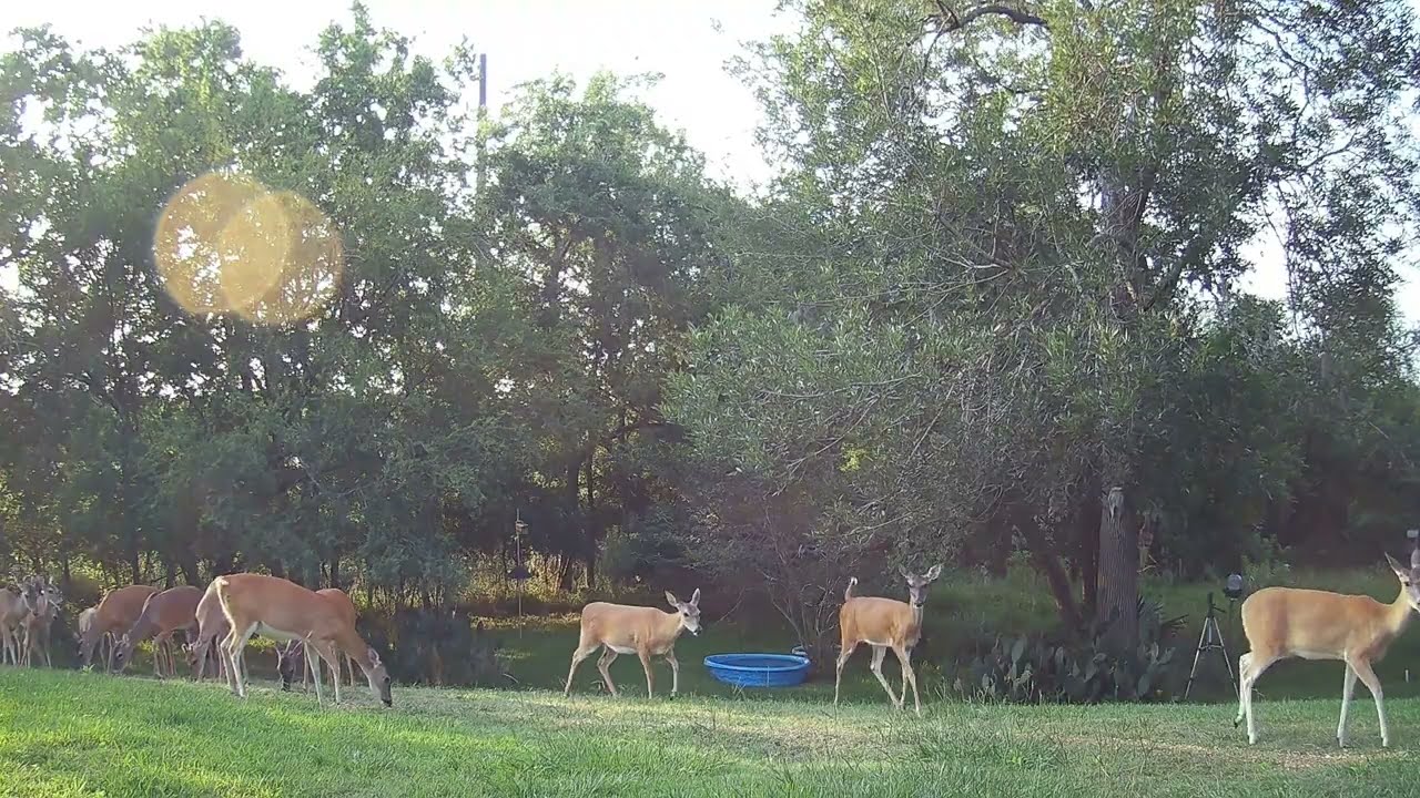 Feeding time