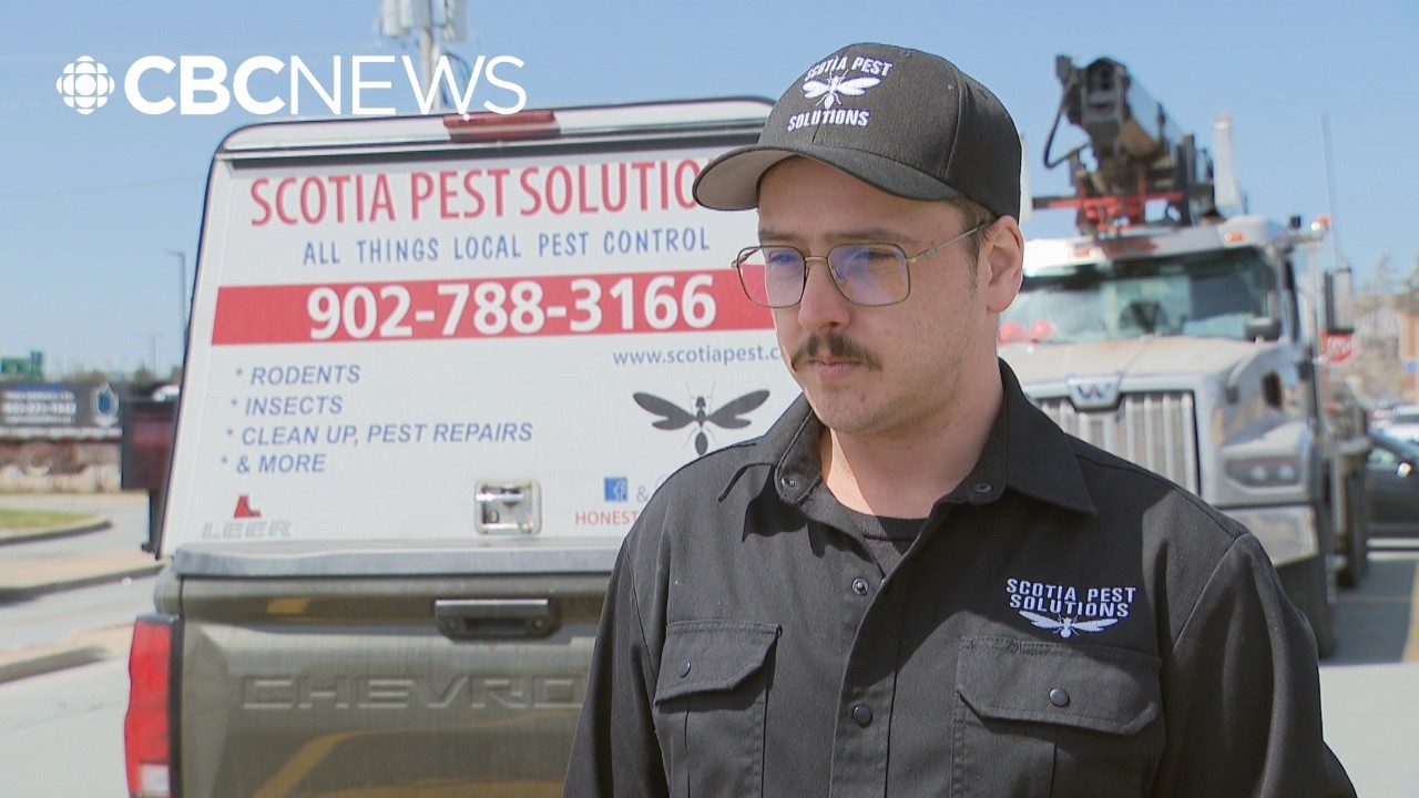Is Halifax's cockroach problem getting worse?
