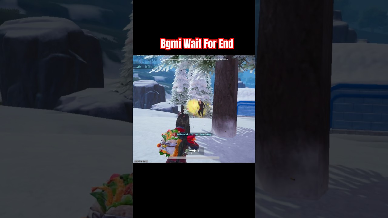 BGMI Wait For End 