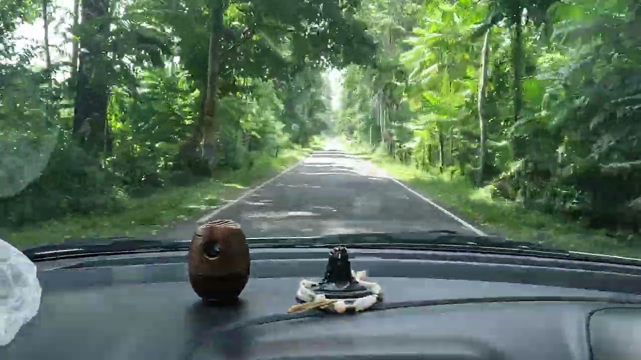 Darjeeling Tour Part 3 | Foggy Hills & Stunning Road Views 🌫️🏔️