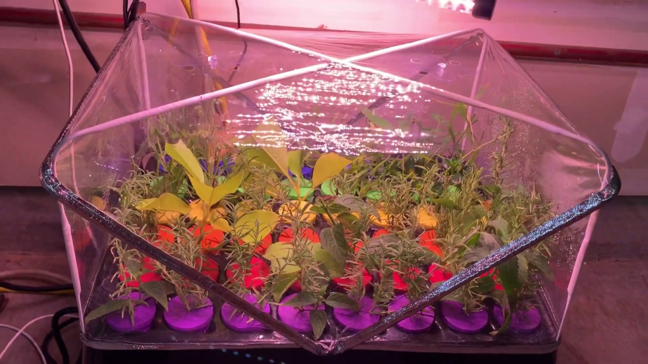 Quick overview of my aeroponic cloner for plant cuttings