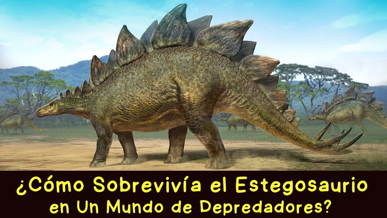 Estegosaurio: el Dinosaurio Jur&aacute;sico Original | &iquest;C&oacute;mo Se Defend&iacute;a el Estegosaurio?