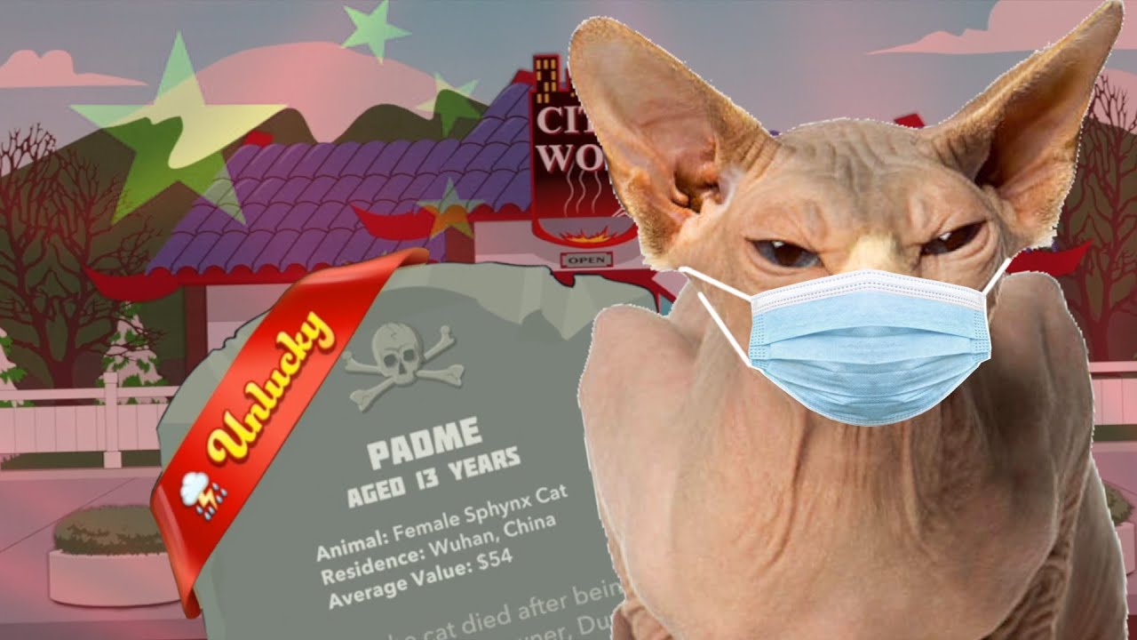 CUANDO TU GATO TIENE UN DÍA DE PERROS en CATLIFE Bitlife en Español