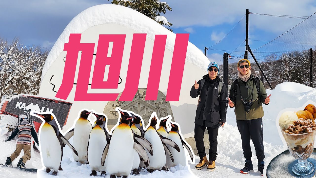 北海道別錯過「旭川市」｜旭山動物園企鵝散步，一晚不到NT$1,800優質飯店大推薦，滑雪超Chill，美食分享【北海道2024】