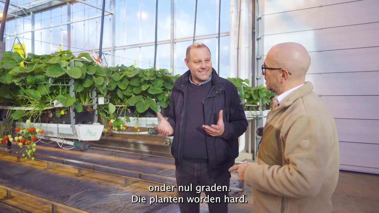 Blik achter Coöperatie Hoogstraten - Voka Réveillon