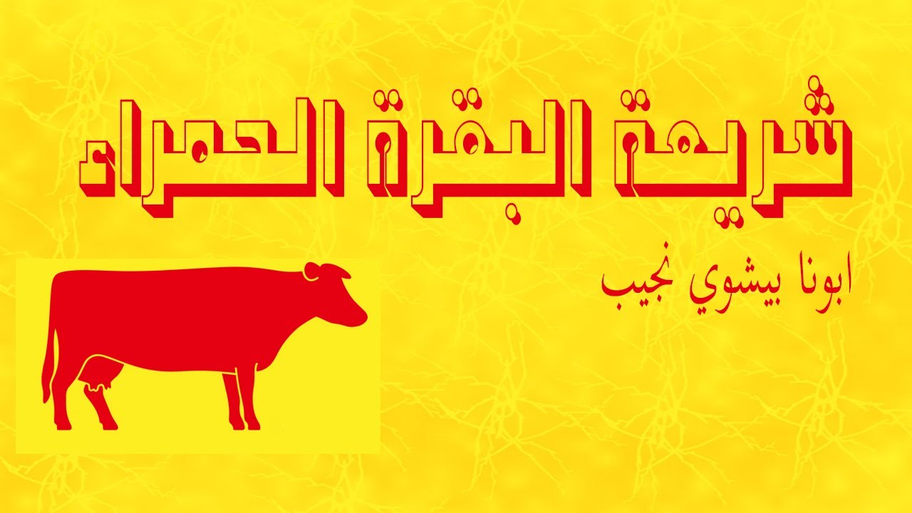 شريعة البقرة الحمراء...ابونا بيشوي نجيب