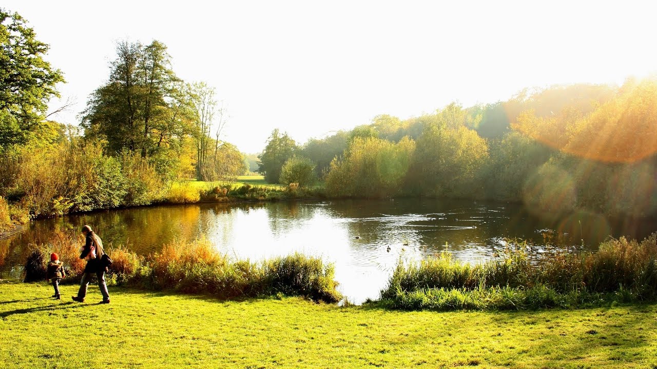 [Doku] NaturNah - Der Jenisch-Park - gr&uuml;ne Perle an der Elbe [HD]