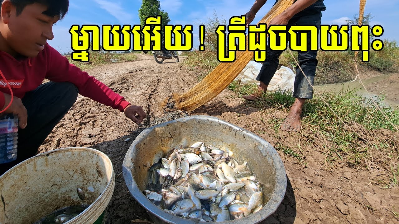 កូនថ្លុកនេះ ត្រីដូចបាយពុះ បង់មួយសំំណាញ់ពេញធុង