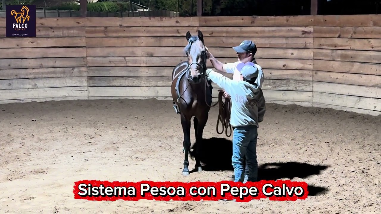 El Sistema Pesoa con el gran Pepe Calvo @pepecalvo 
