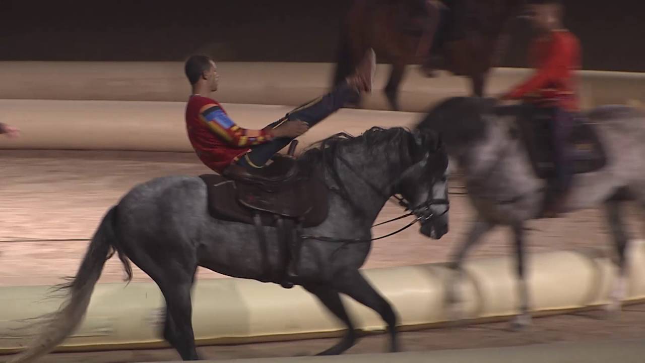 Spectacle 2015 de l’Ecole d’Art Equestre de Marrakech