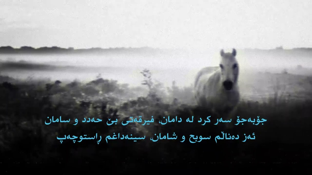 ئەحمەدی کۆر | ڕاستوچەپ | شاڵاو حەبیبە