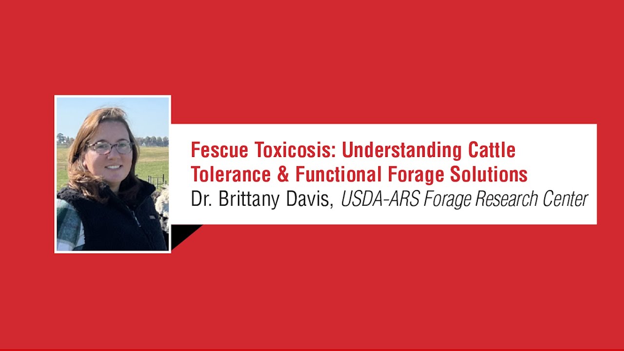 Dr. Brittany Davis, USDA-ARS Forage Research Center, Beef Efficiency Conference 2025