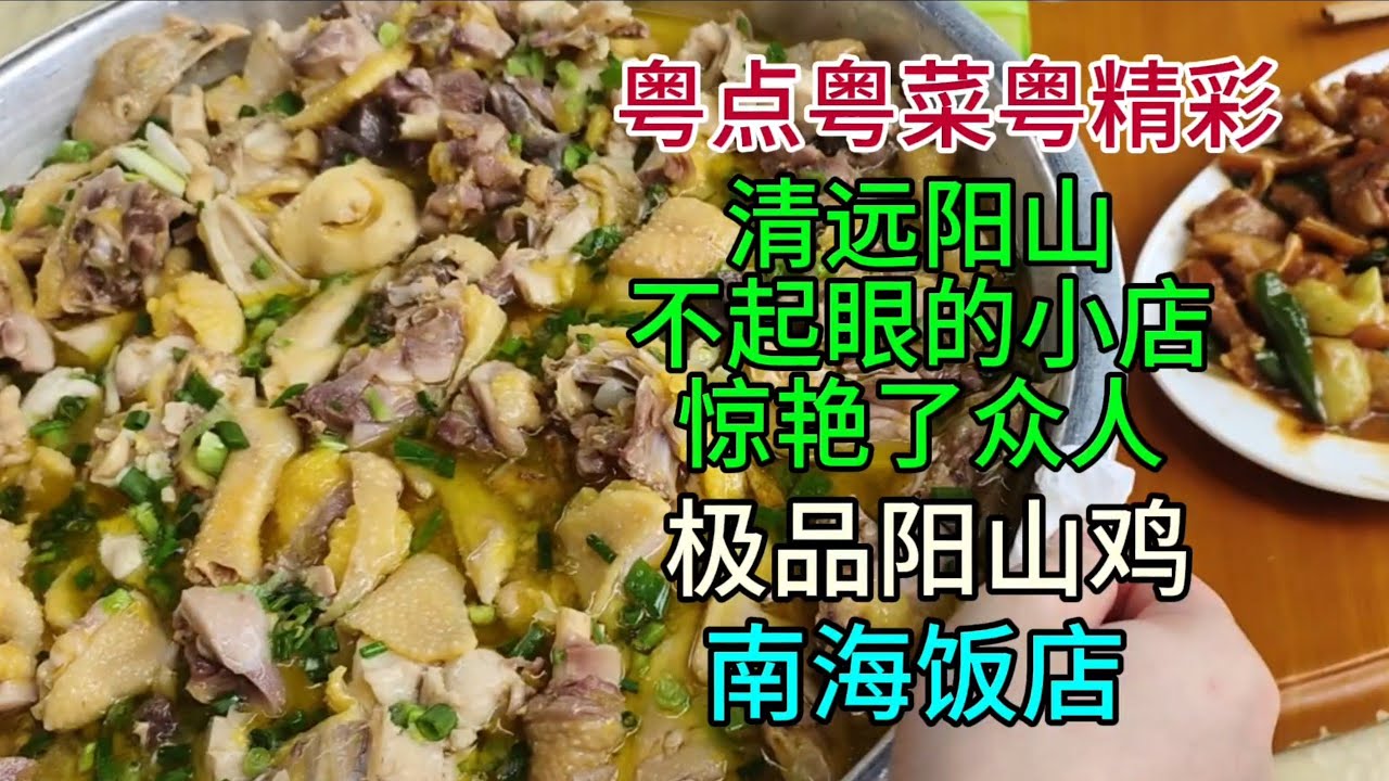 粤点粤菜粤精彩，清远阳山不起眼的小店惊艳了众人，极品阳山鸡，南海饭店，粤语中字幕2025-6-29