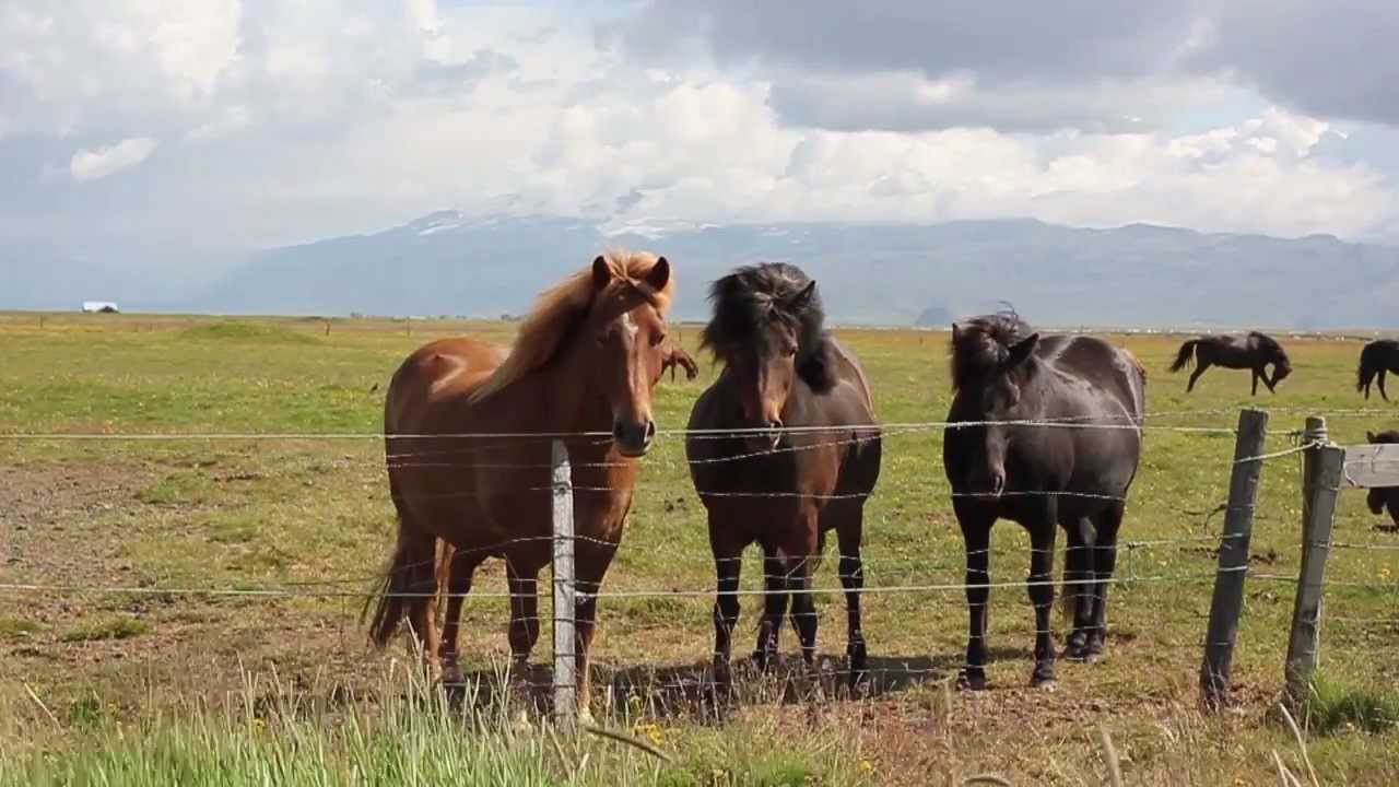 This is Iceland