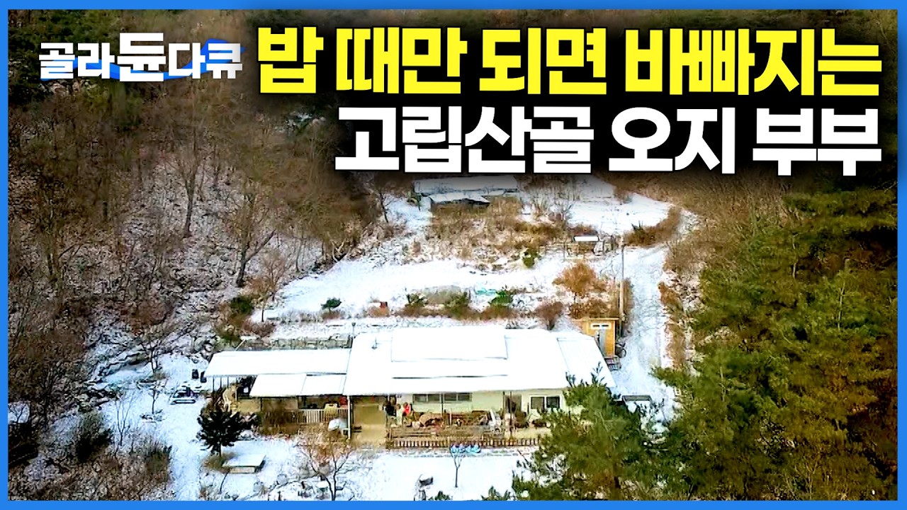 엄마랑 아빠가 자연인이다. 빡빡한 도시 대신 자유로운 오지 산골에서 누리는 자유에 초등학생 반응 ｜한국기행｜#골라듄다큐