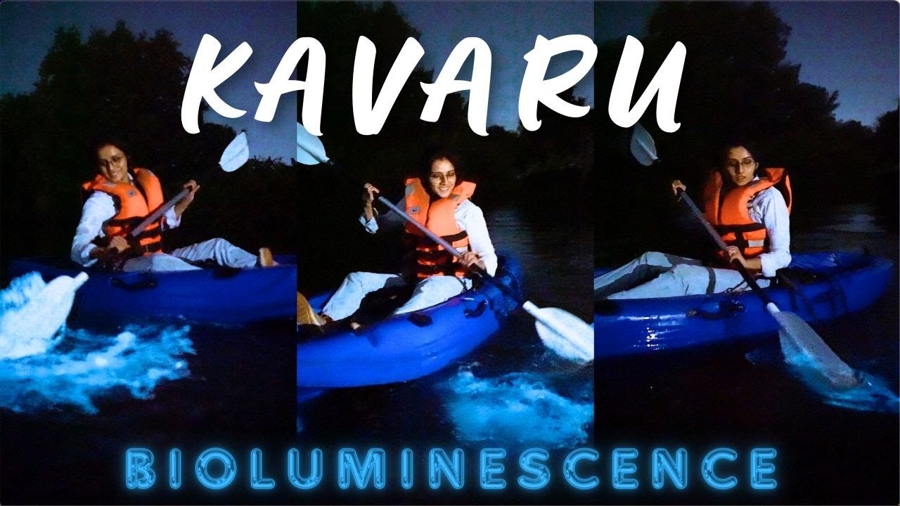 KAVARU ( Bioluminescence ) at Kumbalangi @annsheetalyoutube #annsheetal