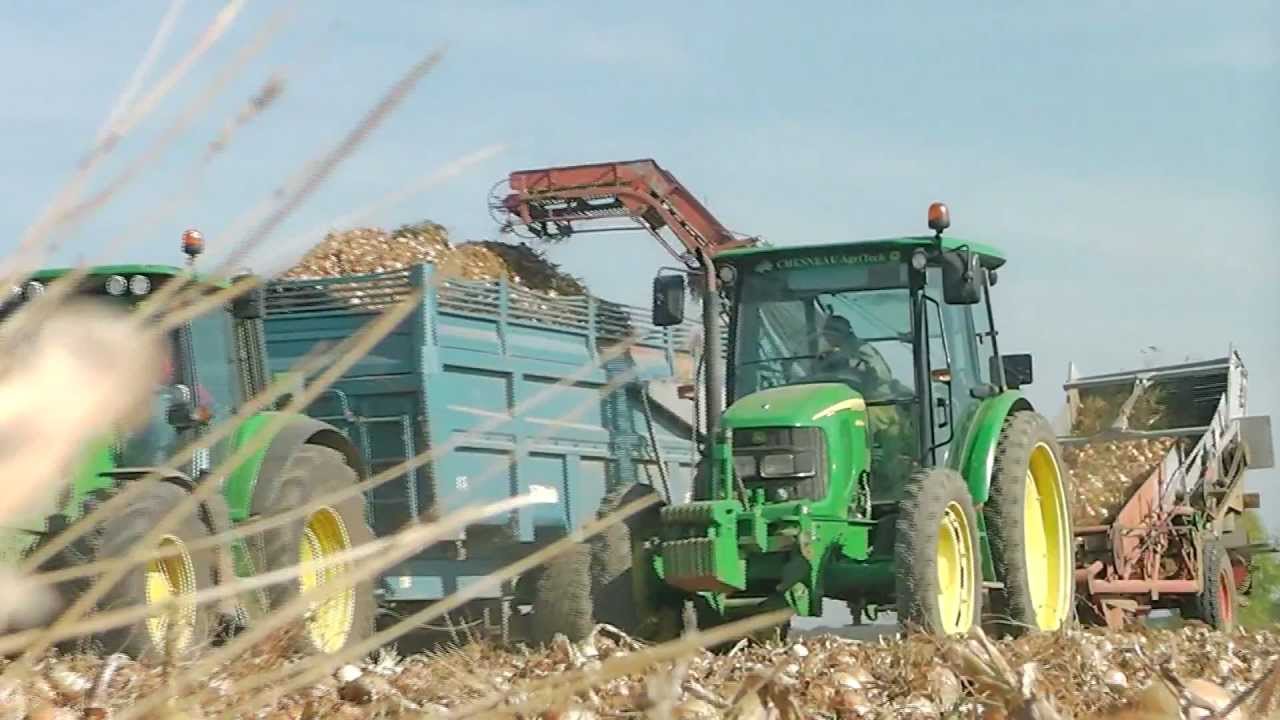 Harvest onions/Récolte oignons à la Ferme de la Motte