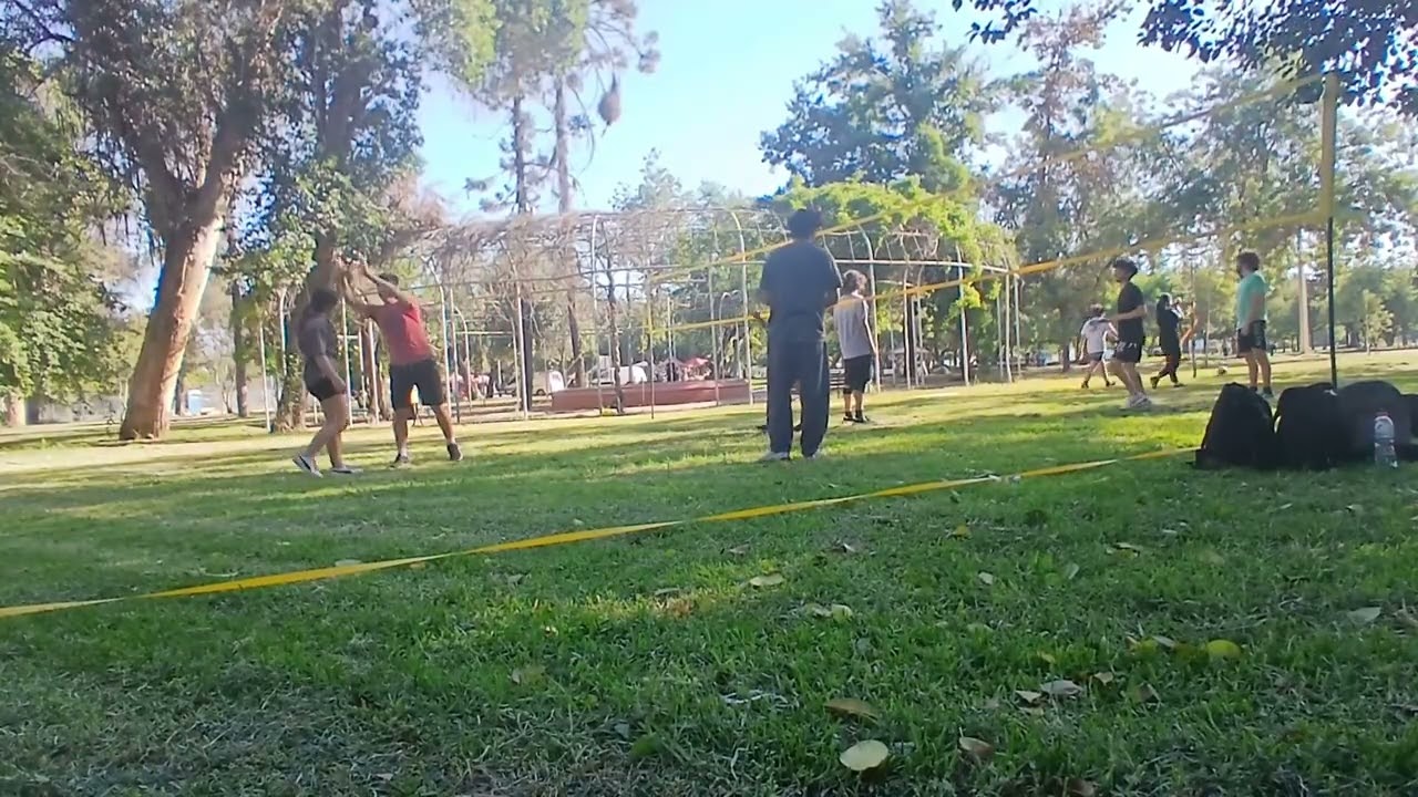Partidos amigos