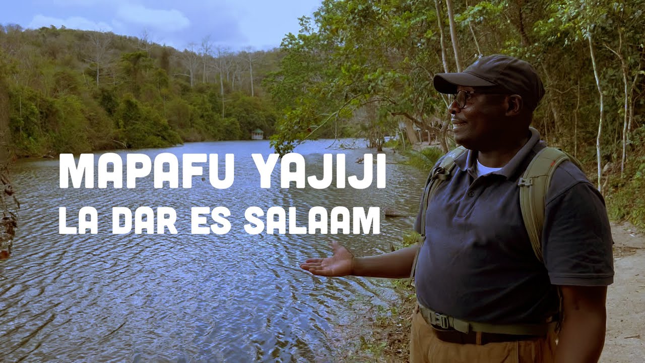 Haya ndio Mapafu ya jiji la Dar es Salaam, Fuatilia ujue kwa undani zaidi.