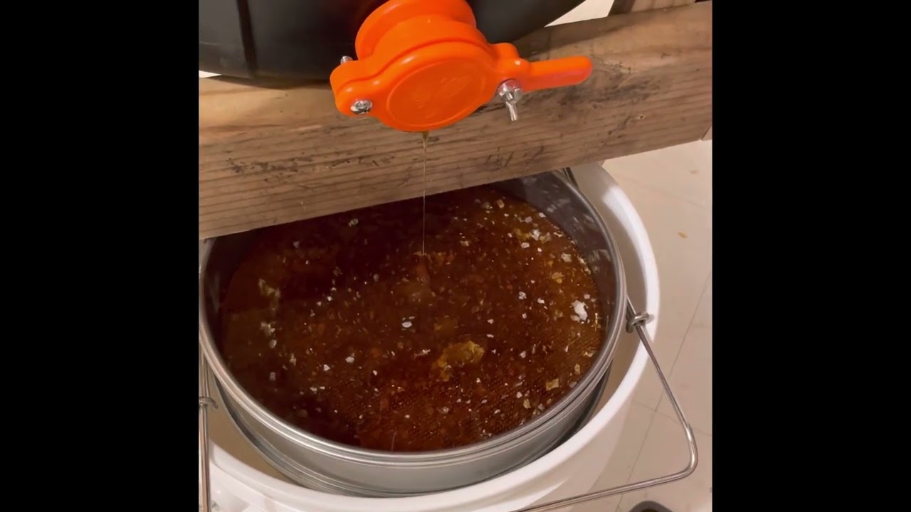 Layens frame DIY honey extractor test run and IT WORKS!! #layens #honey #extracting