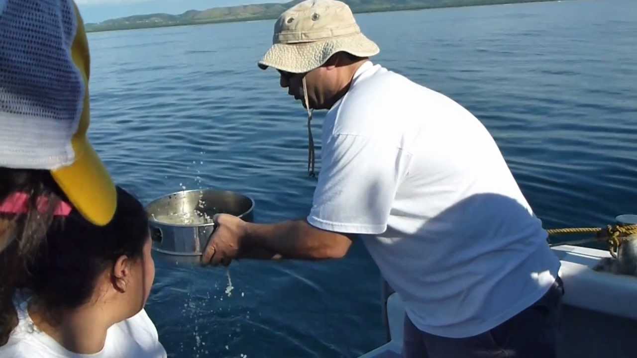 Sediment sampling