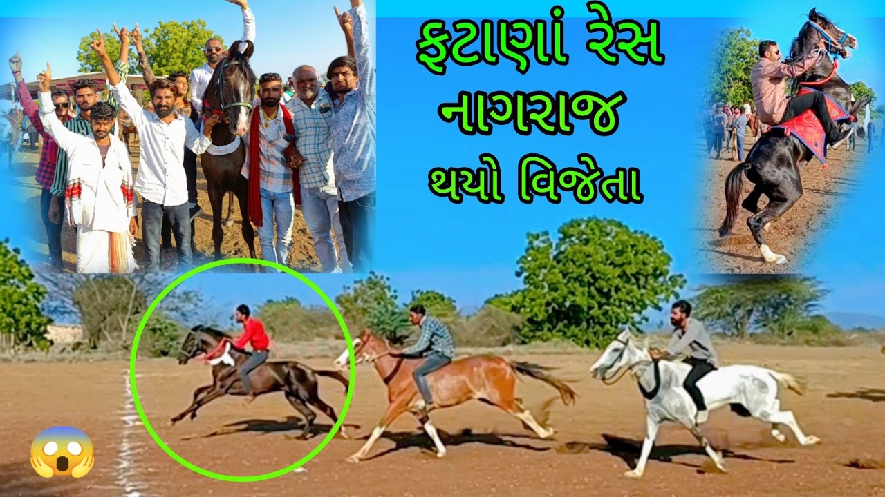ફટાણાં રેસ માં નાગરાજ થયો વિજેતા #horserace#horseriding